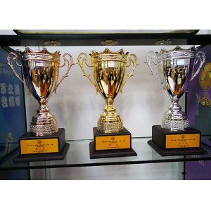 Buy cheap Custom Made Metal Trophy Cup , Sports Match Award Cups Trophies from wholesalers