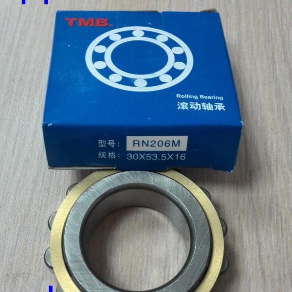 RN206M Cylinder roller bearing without Outer Ring 502206H Eccectric Bearing 30*53.5*16mm