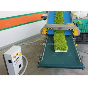 Row Distance mm 1000-1200mm The Best Choice for Harvesting Greenhouse Grown