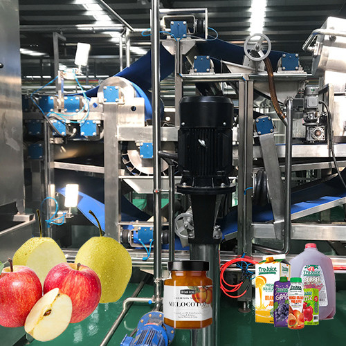 Food Standard SUS 304 Apple Processing Line Cold Press Fruit Juice Processing