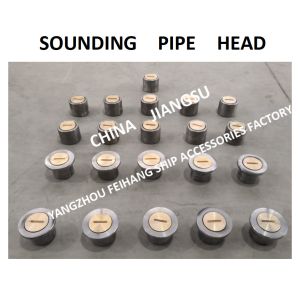 SOUNDING INJECTION HEAD, SOUNDING HEAD, TEMPERATURE MEASURING HEAD, SOUNDING