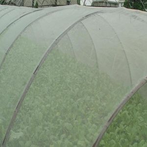 Buy cheap Low Cost Agricultural Greenhouse Anti Insect Proof Plastic Net from wholesalers