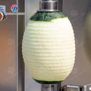 Melon and fruit double head with single cutter peeling machine pineapple Peeling