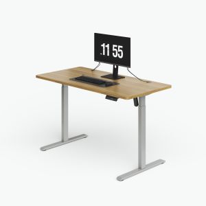 China Customization Home Office Electric Standing Desk With Cable Storage on sale