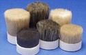 Quality boiled bristles for sale