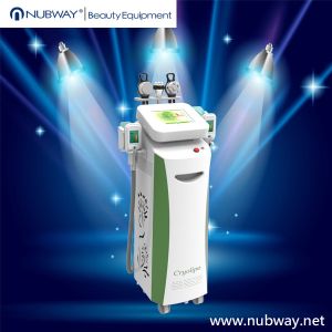 Buy cheap Perfect effect slimming machine cryolipolysis fat freezing equipment from wholesalers