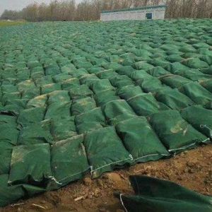 Buy cheap Geotextile Geobag River Bank Protection Flood Control Polyester Nonwoven Geotextile Geobag Sand Bag Large Geotextile Geobag for Beach Protection from wholesalers