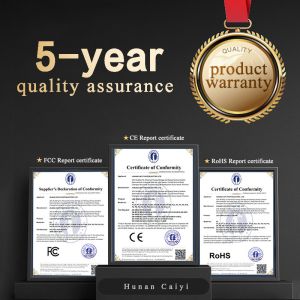 P1.5 P1.6 P1.8 P2 P2.5 Indoor Spherical LED Screen Custom Sphere LED Display for