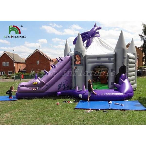 Purple / Grey Inflatable Jumping Castle With Dragon Slide Roofed Playground