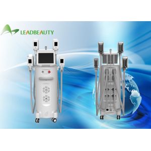 Buy cheap Cryolipolysis burn fat freezing machine, 4 interchangeable handles from wholesalers