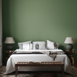 Buy cheap 5kg Interior Wall Paint As Before Ultra Self Clean Moisture Proof Mildew Proof Grade 0  from wholesalers