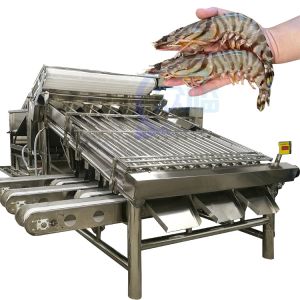 Buy cheap Efficient fish processing and sorting machine Fish size and specification screening machine from wholesalers