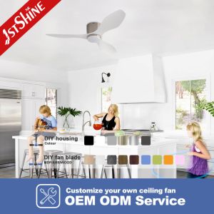 Modern 48'' Plastic Blades Ceiling Fan DC Motor Dual-Function Model with