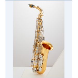 Buy cheap Spring. A good spring should be straight Saxophone beginner practice adult E flat tenor sax wind pipe grade saxophone from wholesalers