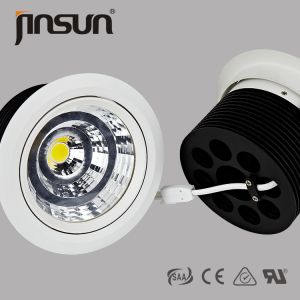 Buy cheap citizen COB 20W 1600lm LED ceiling lights with two rings adjustable 3000k CCT from wholesalers