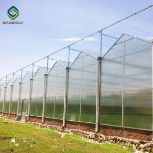 Buy cheap 120km/H Multi Span Polycarbonate Greenhouse With Irrigation System product