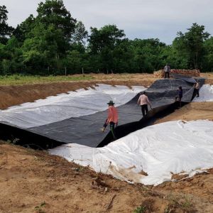 Buy cheap 0.5mm Hdpe Liner for Shrimp Lobster Pond Length 50m-100m or as client's requirement from wholesalers