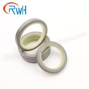 Mechanical Hydraulic Dust Seal DKB DLI DLW For Machinery Repair Shops