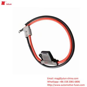 Buy cheap Automotive Fuse/Fuse Holder In Line With EU UL Standard, Rated Voltage 32V For New Energy Vehicle Circuit Protection from wholesalers