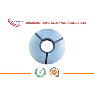 0.5Mm Thickness NiCr Alloy Ni80Cr20 Strip for Industrial Heating Furnace