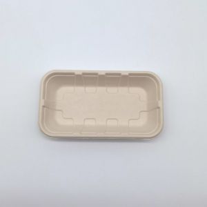 Compostable Biodegradable Bagasse Tableware Disposable Rectangular Shape