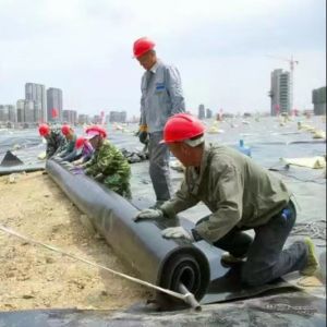 Highly Effective HDPE Geomembrane for Landfill and Sewage Treatment GB/ASTM GRI