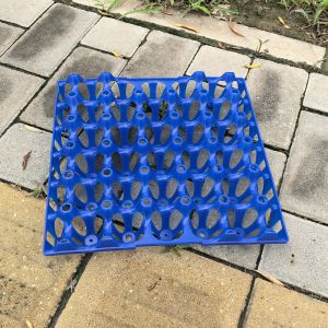 Buy cheap Versatile Sturdy Reusable Plastic Egg Cartons Egg Packing from wholesalers