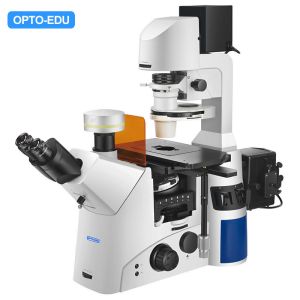 Buy cheap A16.1096 Inverted Fluorescent Opto Edu Microscope N-iPLFN PH Infinity Plan Semi-APO from wholesalers