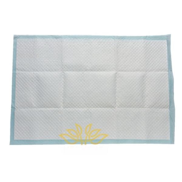 Quality Disposable Adult Nappy Pants Heavy Absorbency Underpads 60X90 Cm for sale