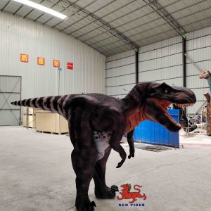 Buy cheap Customized Real Life T Rex Costume , Indoor Tyrannosaurus Suit from wholesalers