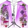 Buy cheap Muizlux 96 Watt Floor LED Plant Lamp Red And Blue Spectrum With Stand from wholesalers