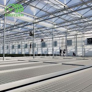 Buy cheap Hydroponics Growing System Greenhouse Benches 4x8 Rolling Grow Tables from wholesalers