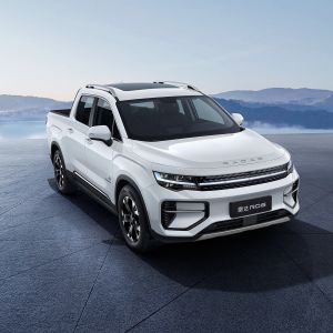 Buy cheap 2023 2024 Model Electric Pickup Truck High Power Pickup Electric Cars RADAR RD6 2WD Drive Left Steering 2 Years from wholesalers