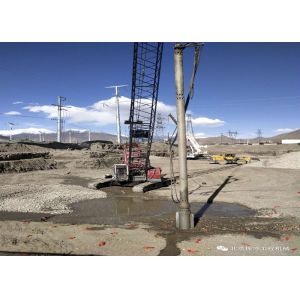 100W 150W Bottom Feed Vibroflot System Vibroflotation Technique Vibroflot