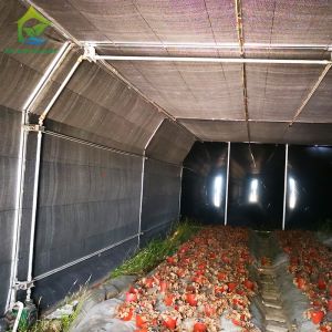 Buy cheap Automated Mushroom Growing Light Deprivation Blackout Agricultural Greenhouse from wholesalers