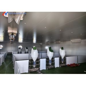 Buy cheap Customized High Strength Pig Feeding System For Livestock Piglet from wholesalers