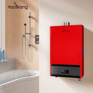 China Forced Exhaust Gas Water Heater with Instant / Tankless Function and ±0.5 C Water Temperature Deviation on sale