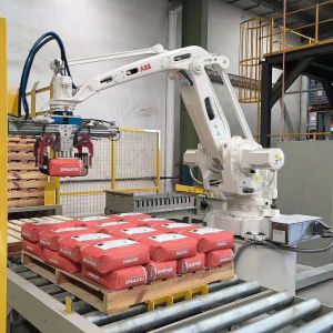 Automatic Robot Palletizer For Carton / Case / Box / Bag Palletizing