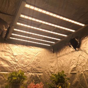 Buy cheap Foldable LED Plant and Flower Grow Lights for Greenhouse Plant Growing from wholesalers