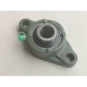 Buy cheap FL204 Cast Iron 2 Bolt Flange Pillow Block Bearing from wholesalers