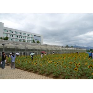 Buy cheap WL108Y Large IGreen Polycarbonate Panels Customized Length for Greenhouse from wholesalers