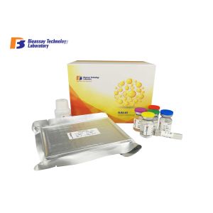 Buy cheap ELISA Kit for Human High Sensitivity and Specificity AD from wholesalers
