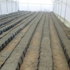 Soilless Growing System PP Growing Trough Colletcing Trough Black Growing