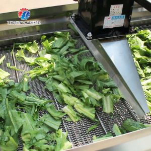 Orange Potato Onions Ginger Potato Carrot Taro Sweet potato Yam Saiko persimmon