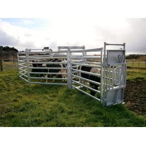 Buy cheap Horse Fence, cattle fence panel, sheep fencing and Fence from wholesalers