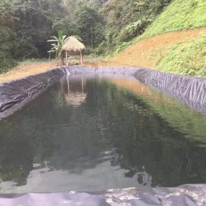 Double Smooth Surface 0.5mm HDPE Black Geomembrane Liner for Fish Shrimp Farming