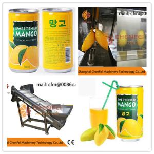 Buy cheap Compact Structure Mango Processing Line Paste Processing Line 5 Tons Per Day from wholesalers