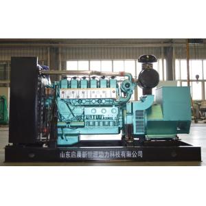 Gas Generator 500kVA, Biogas Generator, Natural Gas Generator/LPG Generator