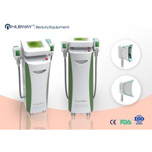 2016 Chritmas promotion! cryolipolyisis slimming/ cryolipolysis fat freezing