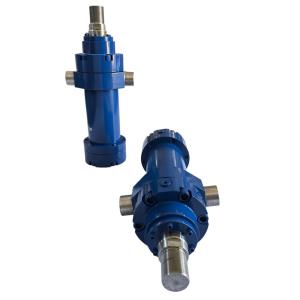 Customized Rear Hydraulic Jack Legs with Hard Chrome Plated Piston Rod for Waste